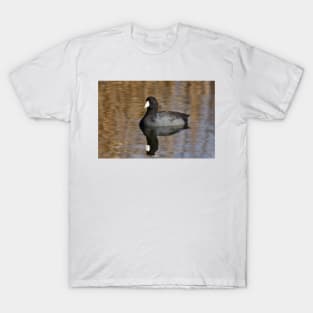 American Coot T-Shirt